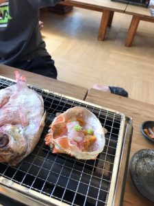 IMG_0546