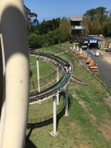 IMG_0649
