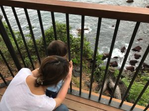 IMG_0577