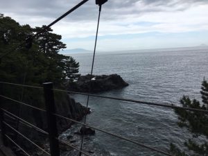 IMG_0607