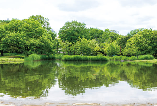 清瀬金山緑地公園