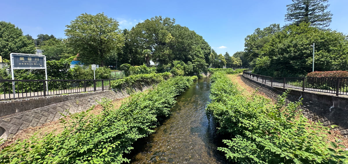 黒目川 （栗原橋で計測）徒歩7分、約500m