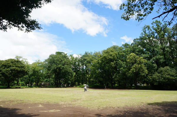 東所沢公園