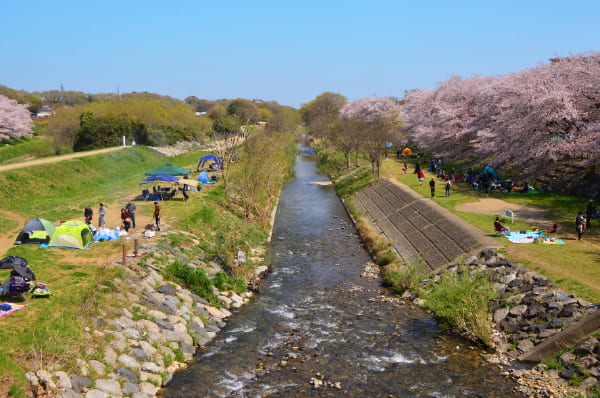 清瀬金山緑地公園