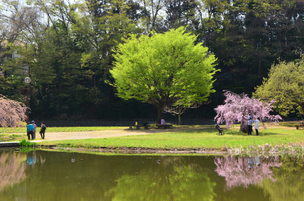 滝の城址公園
