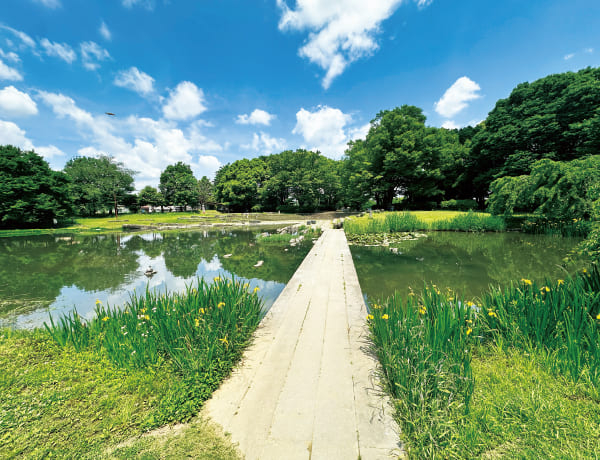 【16】清瀬金山緑地公園