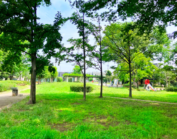 【19】若葉公園