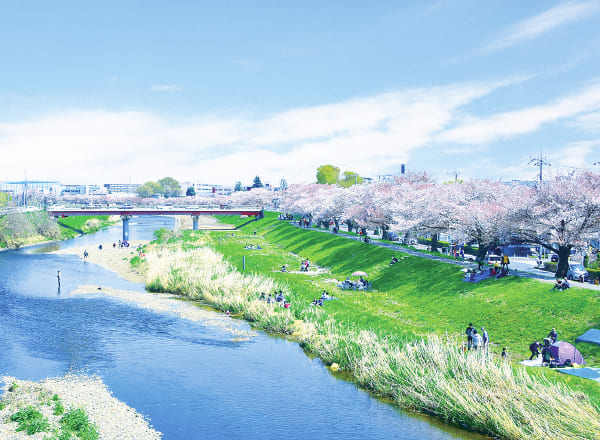 柳瀬川河川敷広場