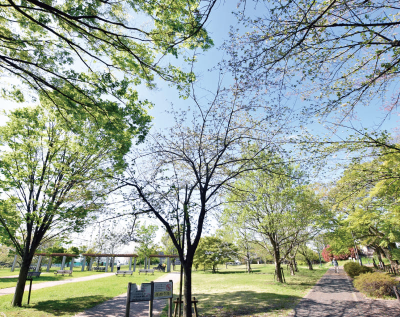 【12】大泉町もみじやま公園