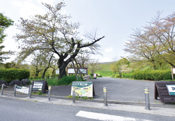 都立狭山公園