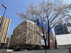 05468913-7345-47C6-ABB0-3CFAC2C1032A