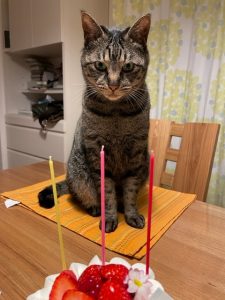 IMG_6715
