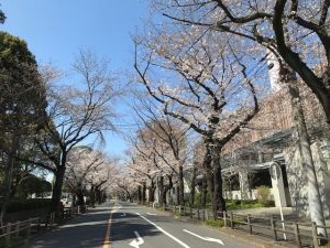 桜クリーンセンター