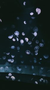 IMG_1835