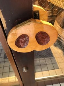 野方ホープ①